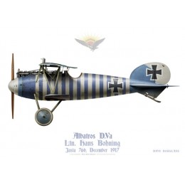Albatros D.Va, Ltn. Hans Bohning, jasta 76b, décembre 1917