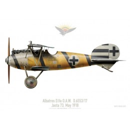 Albatros D.Va O.A.W. D.6553/17, Jasta 73, May 1918