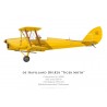 Tiger Moth N8233, Rijksluchtvaartschool, Netherlands