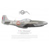 F-6D Mustang, GR II/33 "Savoie", Fribourg, 1945