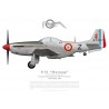 P-51D Mustang, GR II/33 "Savoie", Villacoublay, 1952
