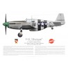 P-51B Mustang, Virgal "Sandy" Sansing, 359th FG, 369th FS, USAAF, juin 1944