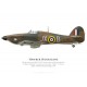 Hawker Hurricane Mk IIc, Battle of Britain Memorial Flight, 2014