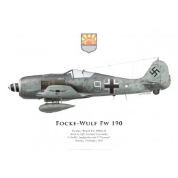 Focke-Wulf Fw 190A-8, Uffz. Gerhard Eisermann, 9./JG 5, février 1945