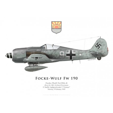 Focke-Wulf Fw 190A-8, Uffz. Gerhard Eisermann, 9./JG 5, February 1945