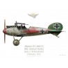 Albatros D.V, Oblt. Richard Flasher, commandant de la Jasta 5, Boistrancourt, février 1918