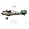 Albatros D.V, Oblt. Richard Flasher, commandant de la Jasta 5, Cappy, avril 1918