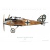 Halberstadt CL.IIA (BFW) 785/18, 1918