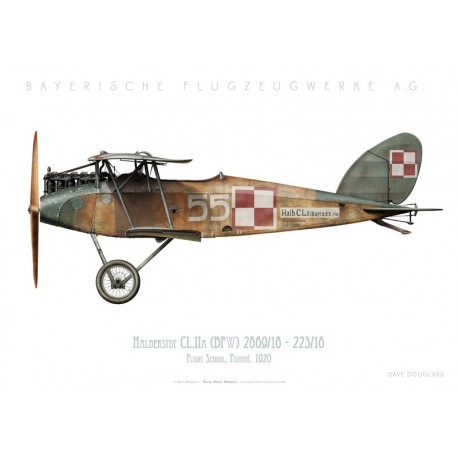 Halberstadt CL.IIA (BFW), Poznań Flight School, Pologne, 1920