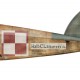 Halberstadt CL.IIA (BFW), Poznań Flight School, Pologne, 1920