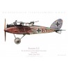Halberstadt CL.II, Uffz. Kuhlmann & Oblt. Schmalschläger, Schlasta 26b, 1918