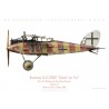 Halberstadt CL.II "Martha/Else", Uffz. Niemann & Vzfw. Kolodzicj, Schlasta 21, France, octobre 1918