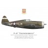 P-47C Thunderbolt, "Little Cookie / Sad Sack", Capt. Walter Cook, 62nd Fighter Squadron, 56th Fighter Group, 1943