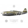 P-47D Thunderbolt "Touch of Texas", Capt. Charles Mohrle, 510th FS, 405th FG, 1944