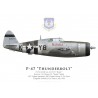 P-47D Thunderbolt "Birdie", 1Lt Denver Smith, 507th FS, 404th FG, France, juillet 1944
