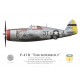 P-47D Thunderbolt "Doogan", 22nd FS, 36th FG, Belgique, décembre 1944
