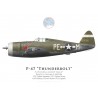 P-47D Thunderbolt "Pattie II", Lt Lawrence McCarthy, 328th FS, 352nd FG, RAF Bodney