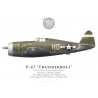 P-47D Thunderbolt "Helen of Troy", Lt. Clarence Palmer, 487th FS, 352nd FG, octobre 1943