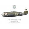 P-47D Thunderbolt "Queen City Mama", Capt. Donald Dilling, 487th FS, 352nd FG, RAF Bodney, décembre 1943
