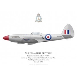 Spitfire F.24, W/C William "Tiny" Nel, No 80 Squadron, Royal Air Force, Kai Tak, 1950
