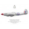 Spitfire F.24, W/C William "Tiny" Nel, No 80 Squadron, Royal Air Force, Kai Tak, 1950