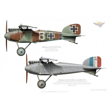 Albatros D.II, Ltn Max Bohme, before and after capture