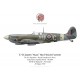 Supermarine Spitfire Mk IX, F/O James Flood, No 421 Squadron, Royal Canadian Air Force, Normandie, 26 août 1944