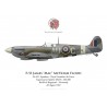 Spitfire Mk IX, F/O James Flood, No 421 Squadron, Royal Canadian Air Force, Normandie, 26 août 1944