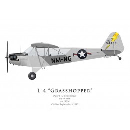 Piper L-4 Grasshopper N5580