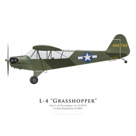 Piper L-4 Grasshopper EI-BBV