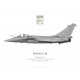 Print of the Dassault Rafale M5, Flottille 12.F, French Naval Aviation, Landivisiau naval airbase, 2006