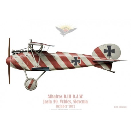 Albatros D.III, Jasta 39, Slovenia, 1917