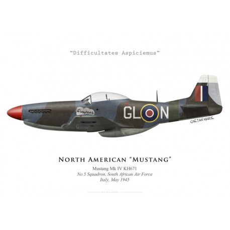 Print of the North American Mustang Mk IV "Sweetpea", No 5 Squadron SAAF, Italy, 1945