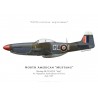 Mustang Mk IV "Impi", No 5 Squadron SAAF, Italie, 1945