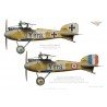 Albatros D.III, Jasta 24, avant et après capture en avril 1917