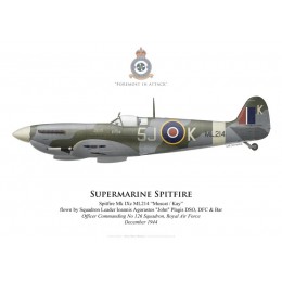 Spitfire Mk IXc, S/L John Plagis, OC No 126 Squadron, Royal Air Force, décembre 1944