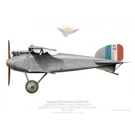 Albatros D.II AL910 captured, France, 1917