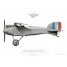Albatros D.II AL910 capturé, France, 1917