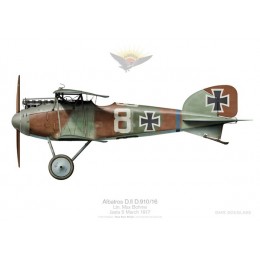 Albatros D.II, Ltn. Bohme, Jasta 5, France, mars 1917 