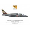 Alpha Jet E, EE 2/2 "Côte d'Or", centenaire des escadrilles SPA 57 et SPA 65, juillet 2015