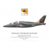 Alpha Jet E, EE 2/2 "Côte d'Or", centenaire des escadrilles SPA 57 et SPA 65, juillet 2015