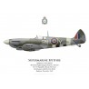 Spitfire Mk XVI, F/S Peter Attwool, No 127 Squadron, Royal Air Force, Grimbergen, Belgium, December 1944