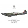 Spitfire Mk XVI, S/L Anthony Reeves, No 74 Squadron, Royal Air Force, Drope, Germany, summer 194