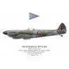 Spitfire Mk XVI, W/C 'Sammy' Sampson, No 145 (French) Wing, Royal Air Force, Allemagne, été 194