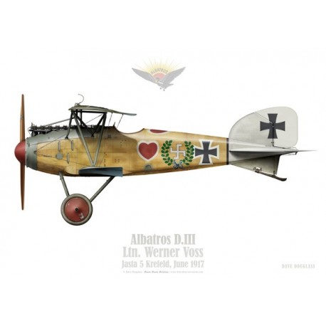 Albatros D.III, Ltn. Werner Voss, Jasta 5, Krefeld, 1917 