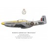 Mustang Mk IV, F/L Mitchell Johnston, No 442 Squadron, Royal Canadian Air Force, juin 1945