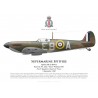 Spitfire Mk Ia, F/L John "Terry" Webster DFC, No 41 Squadron RAF, 5 septembre 1940