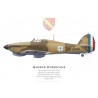 Hawker Hurricane Mk I, Claude Raoul Duval, Free French Air Forces, Groupe de Chasse "Alsace", 1941