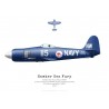 Sea Fury FB.11, F-AZXJ
