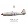 Sea Fury FB.11, VX756, patrouille acrobatique du No 805 Squadron, Royal Australian Navy